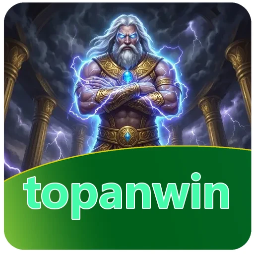 Troubleshooting topanwin